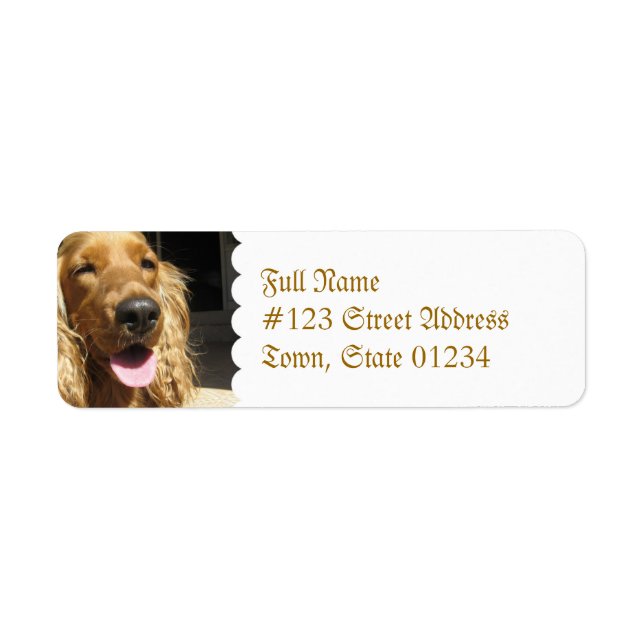 Spaniel Dog Mailing Label (Front)
