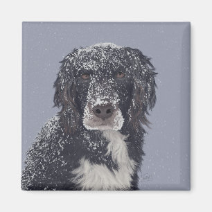 Spaniel dog mix pet portrait magnet