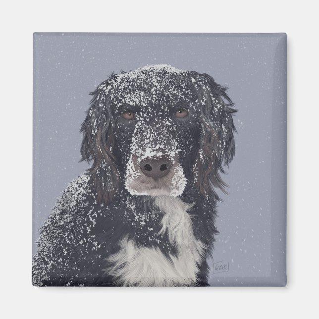 Spaniel dog mix pet portrait  magnet (Front)