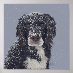 Spaniel dog mix pet portrait poster
