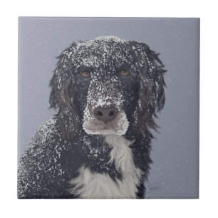 Spaniel dog mix pet portrait tile