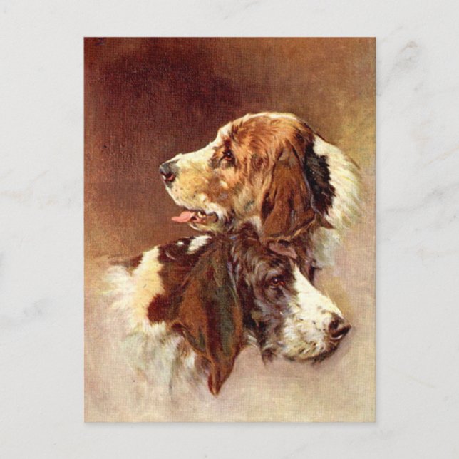 Spaniel Dogs Vintage Art Design Postcard (Front)