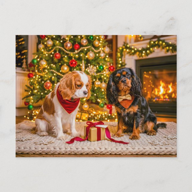 Spaniel duo at cozy christmas tree postcard (Front)