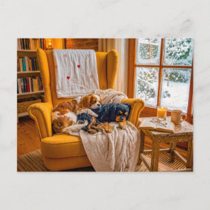 Spaniel duo in cozy winter armchair postcard