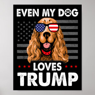 Spaniel Even My Dog Loves Trump Funny Poster