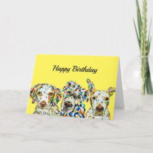 Spaniel Mixed Breed Pitbull Birthday Card