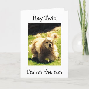 SPANIEL ON THE RUN-HAPPY BIRTHDAY TWIN CARD