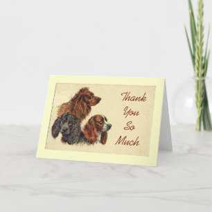 Spaniels Thank You Note Card