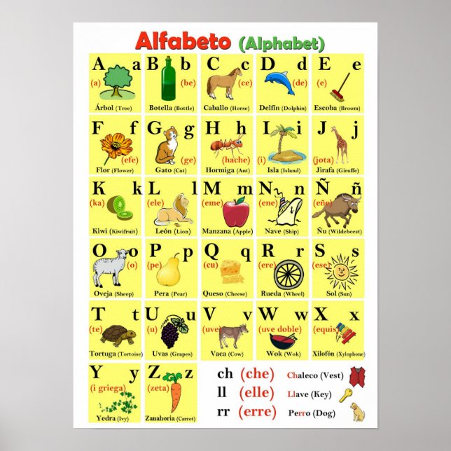 Spanish Alphabet Chart  (Front)