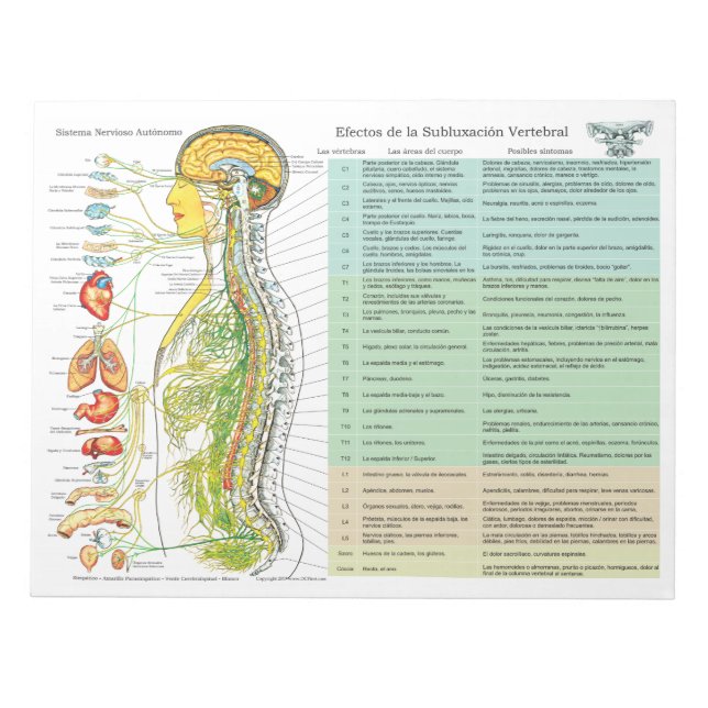 Spanish ANS Subluxation Effects Tear Off Pad (Front)