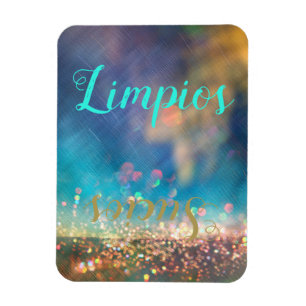 Spanish Aurora Clean Dirty Dishwasher Magnet