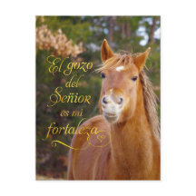 Spanish Bible Verse Smiling Horse Postcards