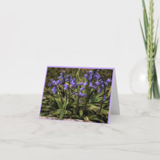 Spanish Bluebells @ Stenton House Museum & Garden Thank You Card