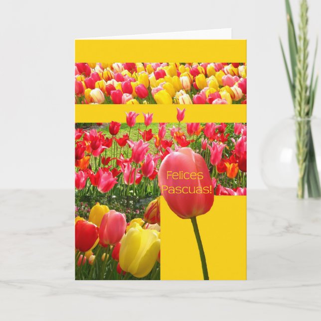 Spanish Easter Tulips Holiday Card (Front)