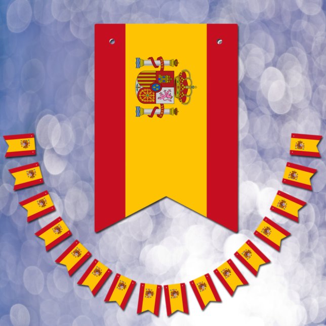 Spanish Flag & Party Spain Banners / Weddings (Creator Uploaded)