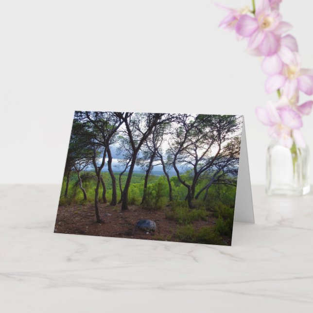 Spanish Forest Landscape Card (Orchid)