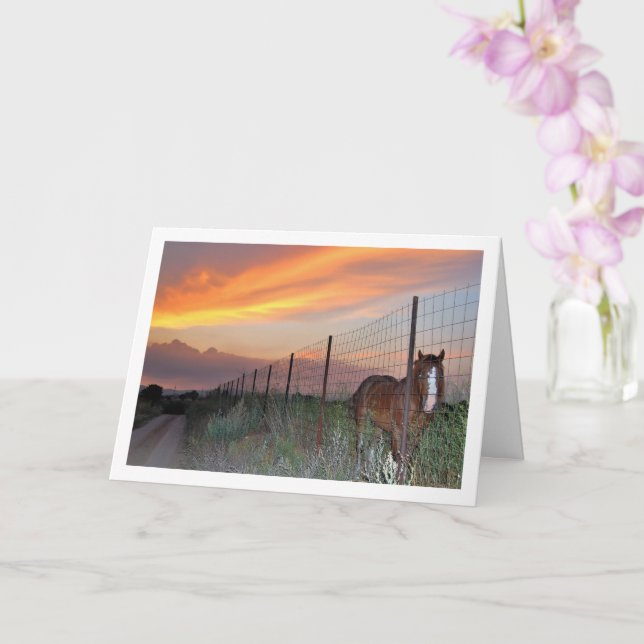 Spanish Horse at Sunset Card (Orchid)