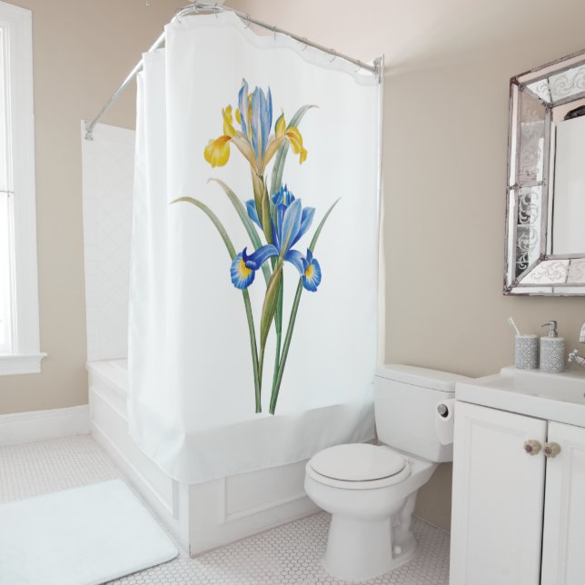 Spanish iris by Pierre-Joseph Redouté (In Situ)