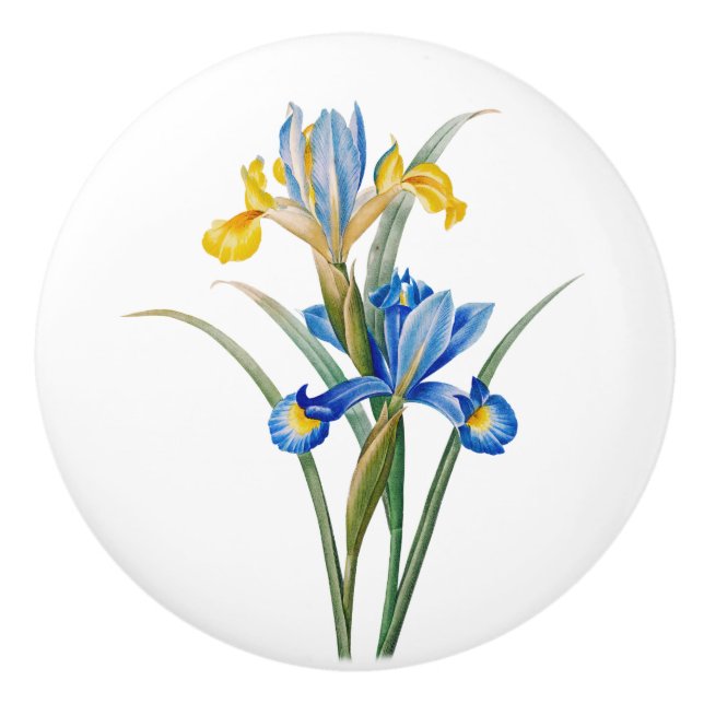 Spanish iris by Pierre-Joseph Redouté Ceramic Knob (Front)