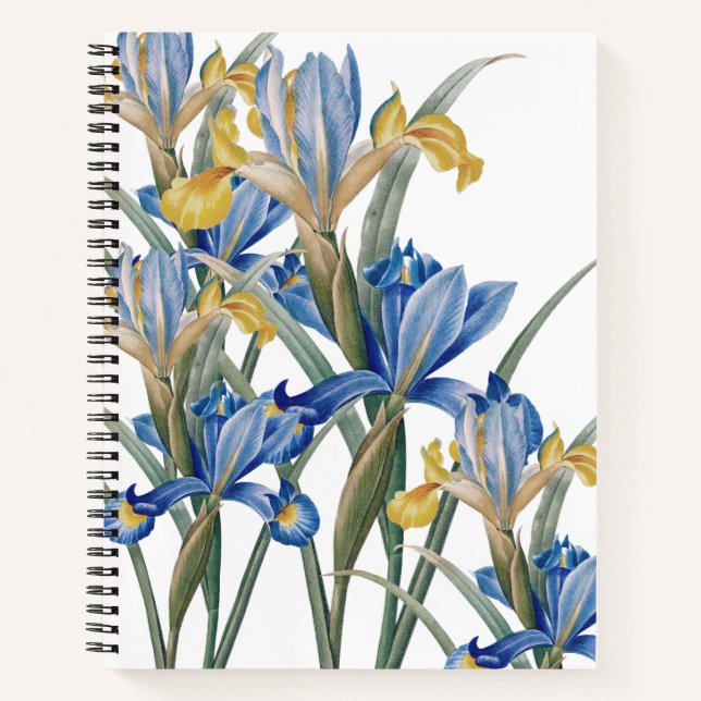 Spanish iris by Pierre-Joseph Redouté Notebook (Front)