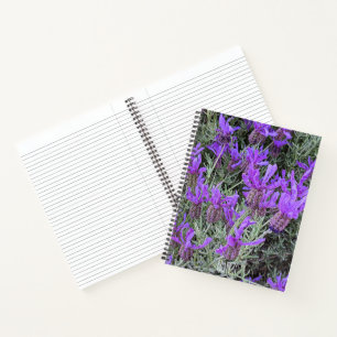 Spanish Lavender Blooms Floral Notebook