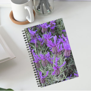 Spanish Lavender Blooms Floral Notebook