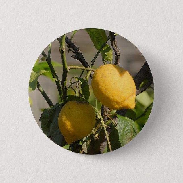 Spanish Lemon Graphics 2 Inch Round Button (Front)
