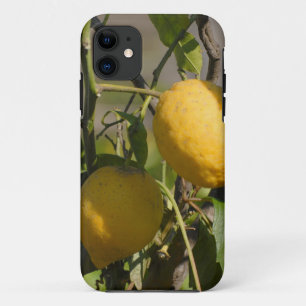 Spanish Lemon Graphics iPhone 11 Case