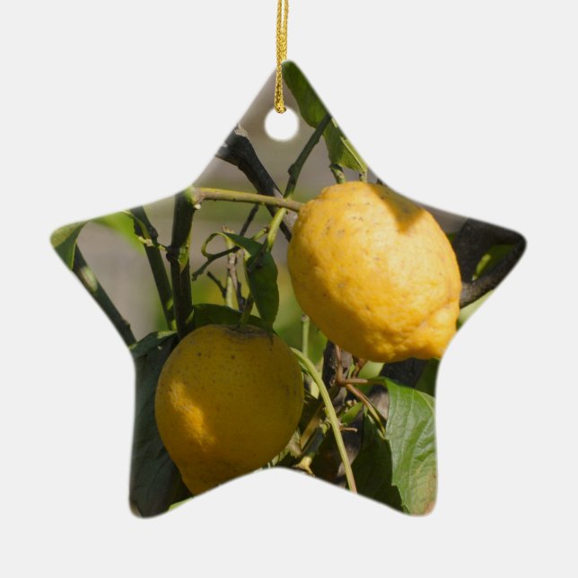 Spanish Lemon Graphics Ceramic Ornament (Front)