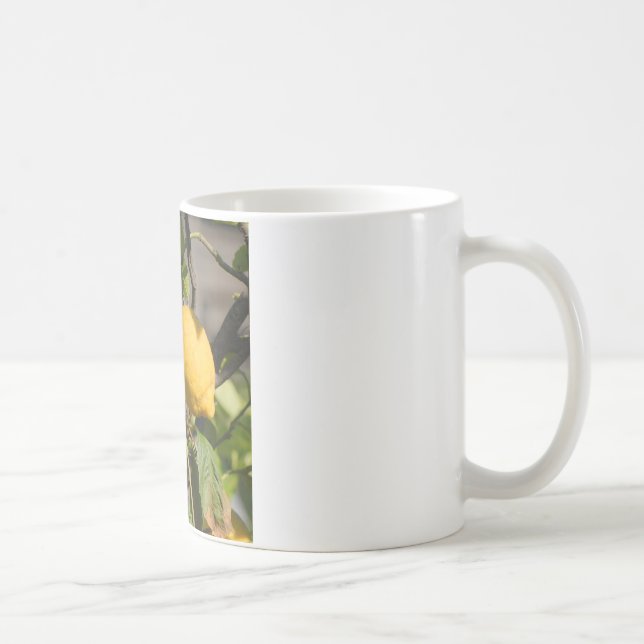 Spanish Lemon Graphics Coffee Mug (Right)