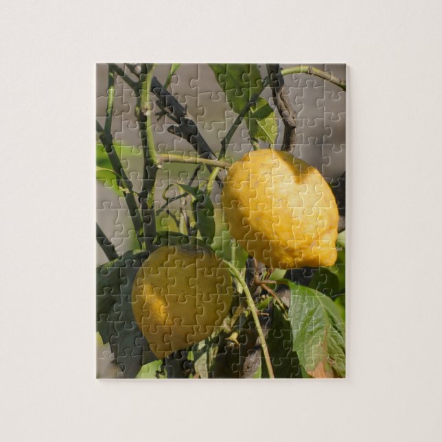 Spanish Lemon Graphics Jigsaw Puzzle (Vertical)