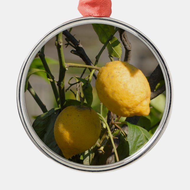 Spanish Lemon Graphics Metal Ornament (Front)