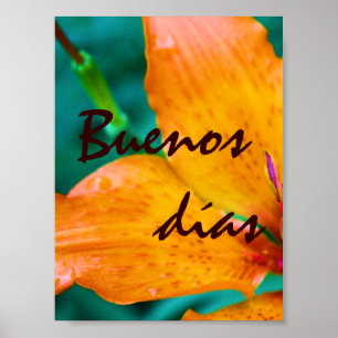 Spanish Morning Print