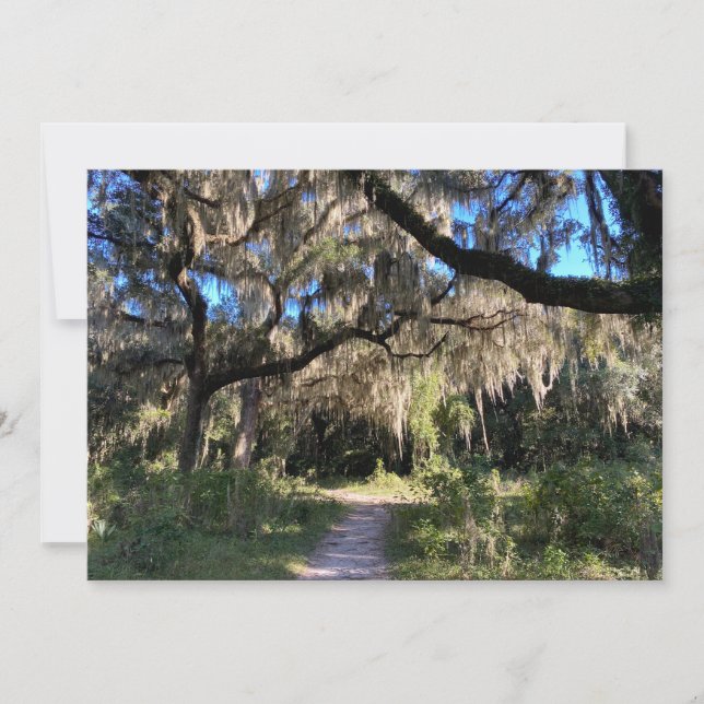 Spanish Moss Card (Front)