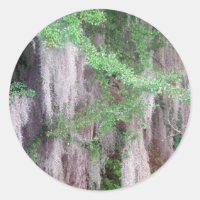 Spanish Moss Sticker
