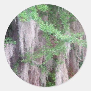 Spanish Moss Sticker