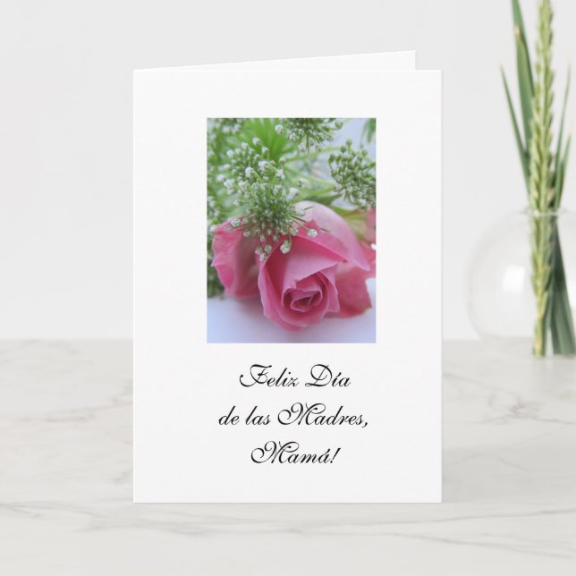 Spanish: Mother's day/ Dia de las madres vs 1 Holiday Card (Front)