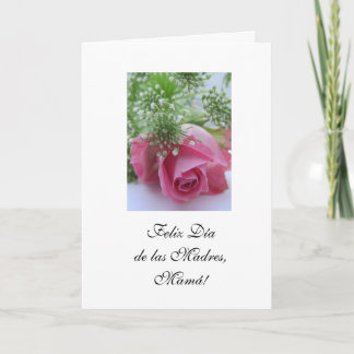 Spanish: Mother's day/ Dia de las madres vs 1 Holiday Card