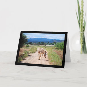 Spanish Mule on Country Road Card