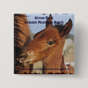 Spanish Mustang Foal Button