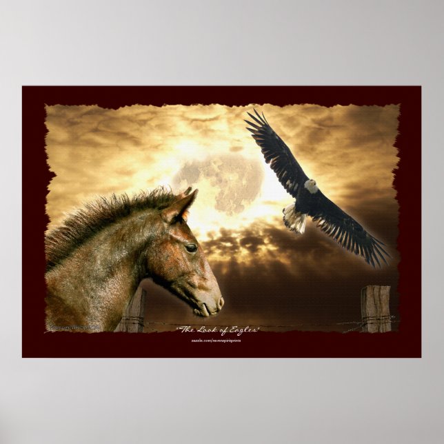 Spanish Mustang Horse & Bald Eagle Art Print (Front)