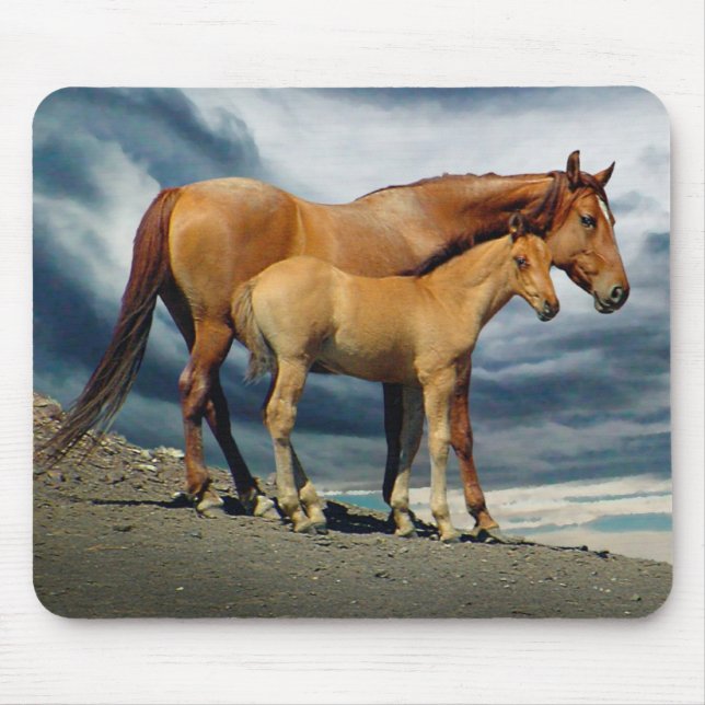 Spanish Mustang Mare Mouse Pad (Front)