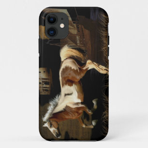 Spanish Mustang New Worlde Horse-lover Art iPhone 11 Case