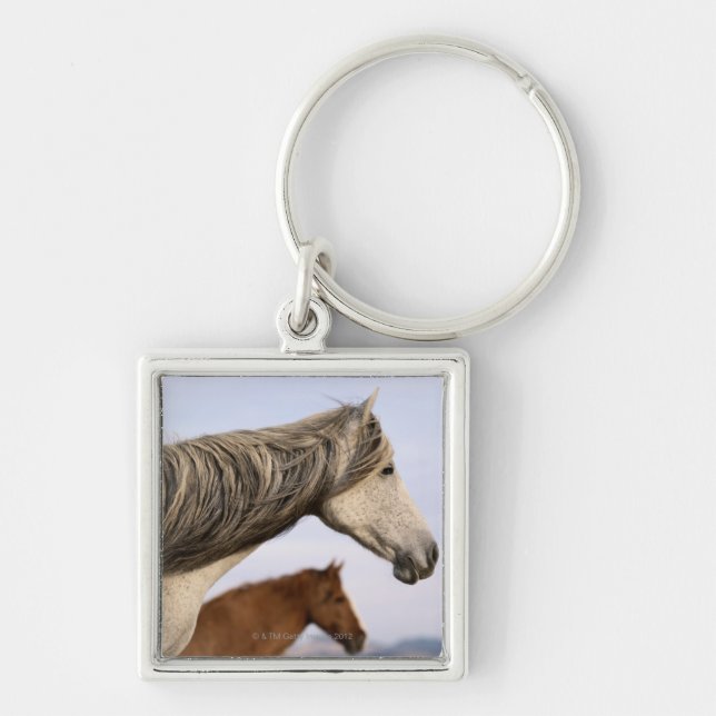 Spanish Mustangs Keychain (Front)