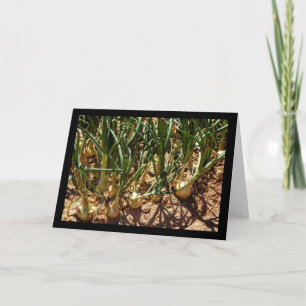 Spanish Onions at Harvest Card
