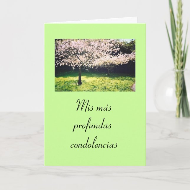 Spanish:Pesame /Sympathy Card (Front)