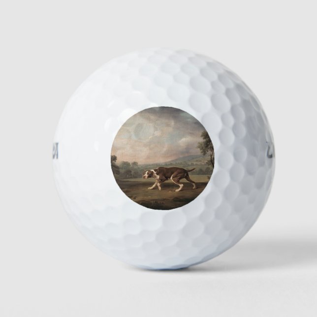 Spanish Pointer Dog (by George Stubbs) Golf Balls (Front)