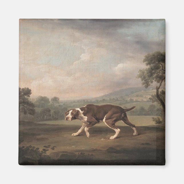 Spanish Pointer Dog (by George Stubbs) Magnet (Front)