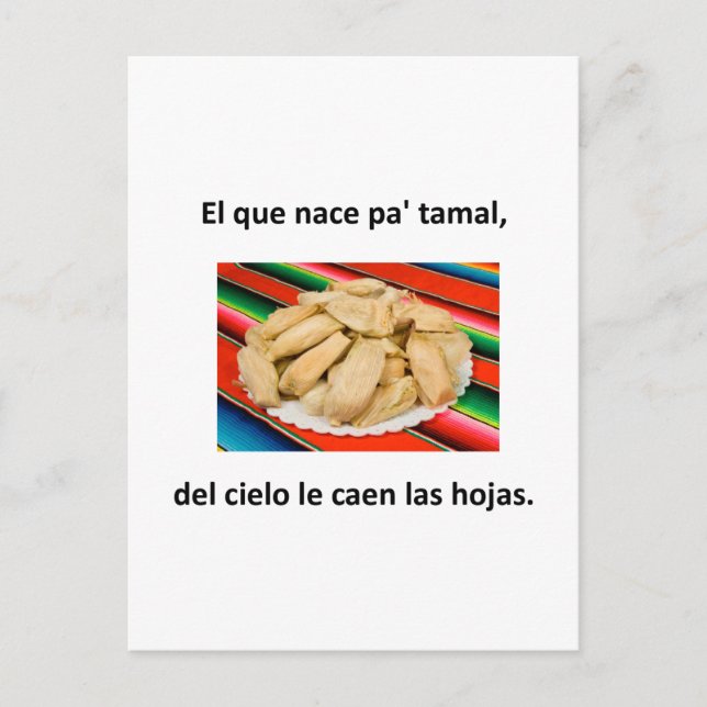 Spanish Quotes Postcard (Front)