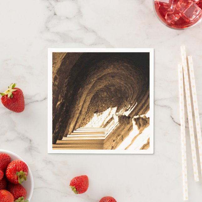 Spanish Sepia Tunnel Napkin (Insitu)